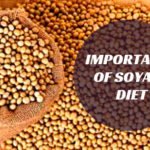 soyachunks benefits protein