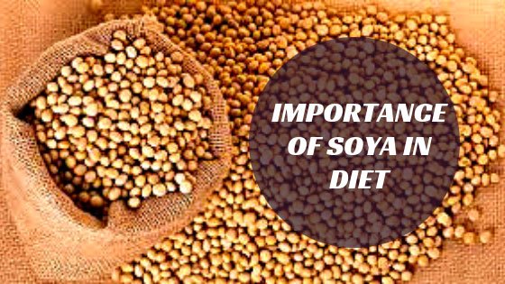 soyachunks benefits protein