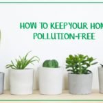 Home pollution free