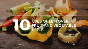 Veg Peel