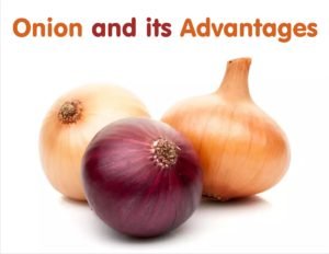 Onion