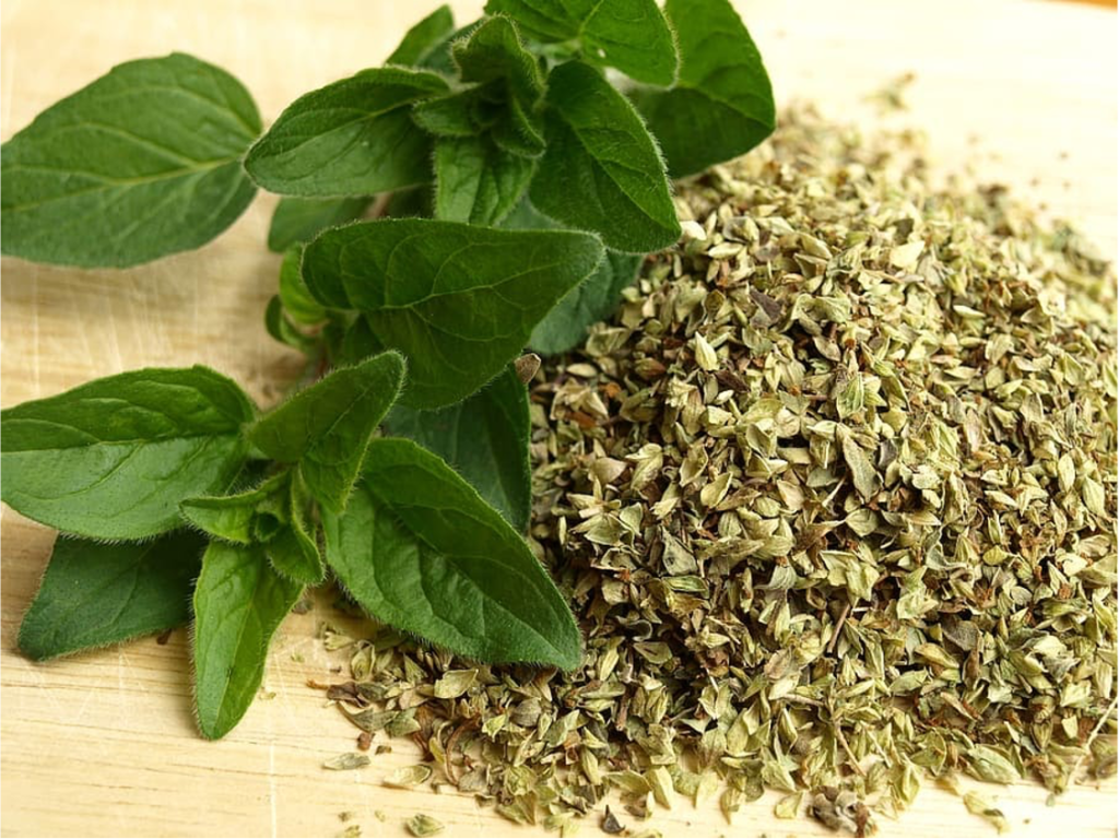 Tulsi