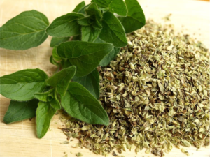 Tulsi