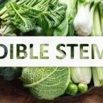 edible stems