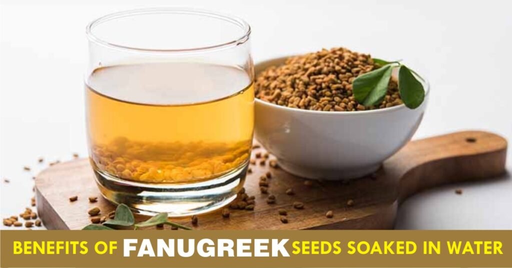 benefits of fanugreek seeds soaked in water