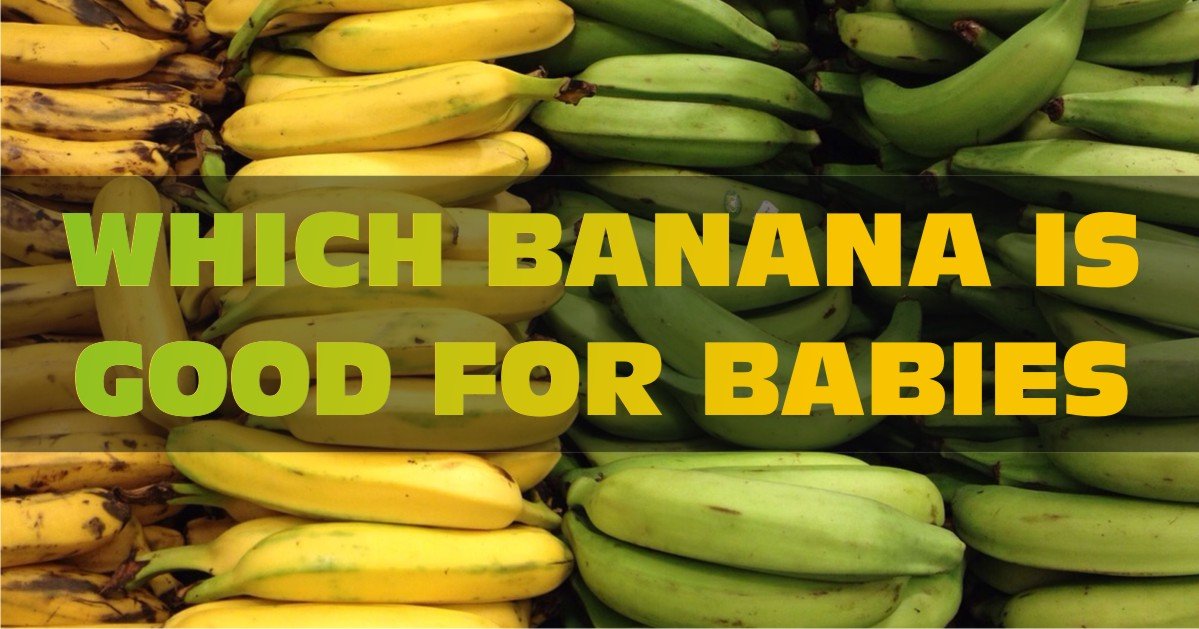 Confused! Which is the Best Banana for Babies? Read This!