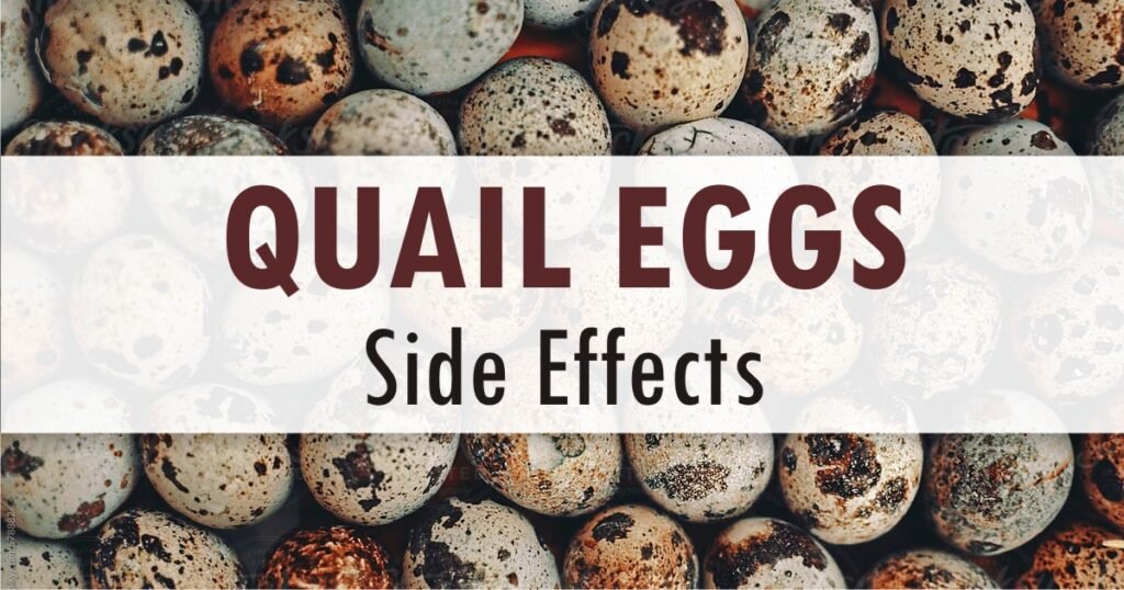 Quail eggs side effects