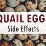 Quail eggs side effects