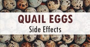 Quail eggs side effects