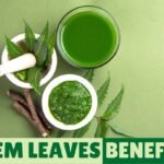 neem leaves benefits