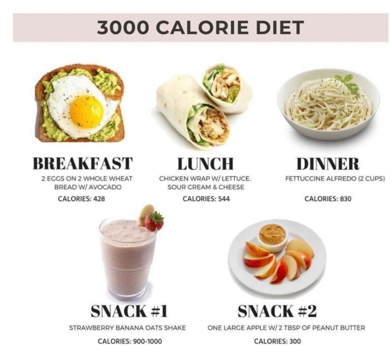 what-is-there-in-a-3000-calories-diet-medical-darpan