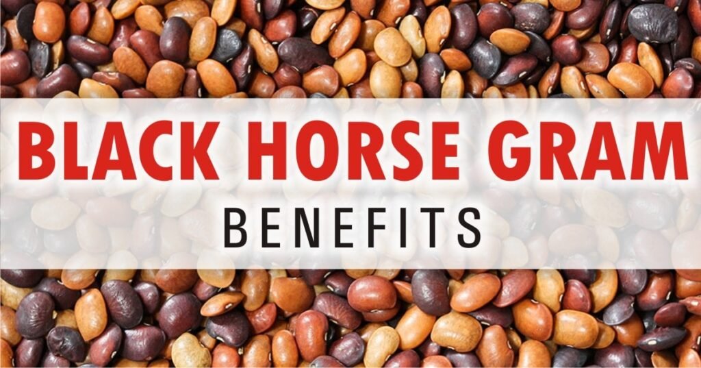 what-are-the-black-horse-gram-benefits-medical-darpan