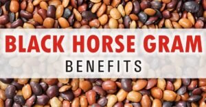 black horse gram benefits