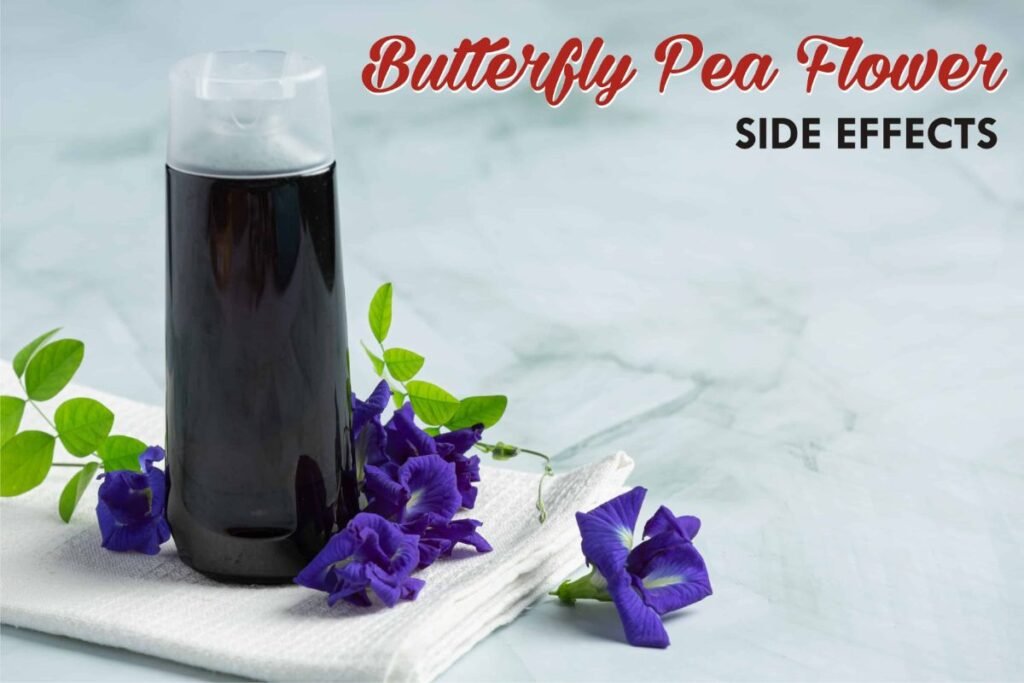 Butterfly pea flower side effects