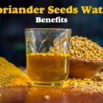 coriander seeds water benefits