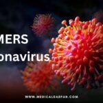 MERS Coronavirus