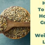 Eat horse gram for weight loss