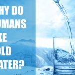 People Like Drinking Cold Water