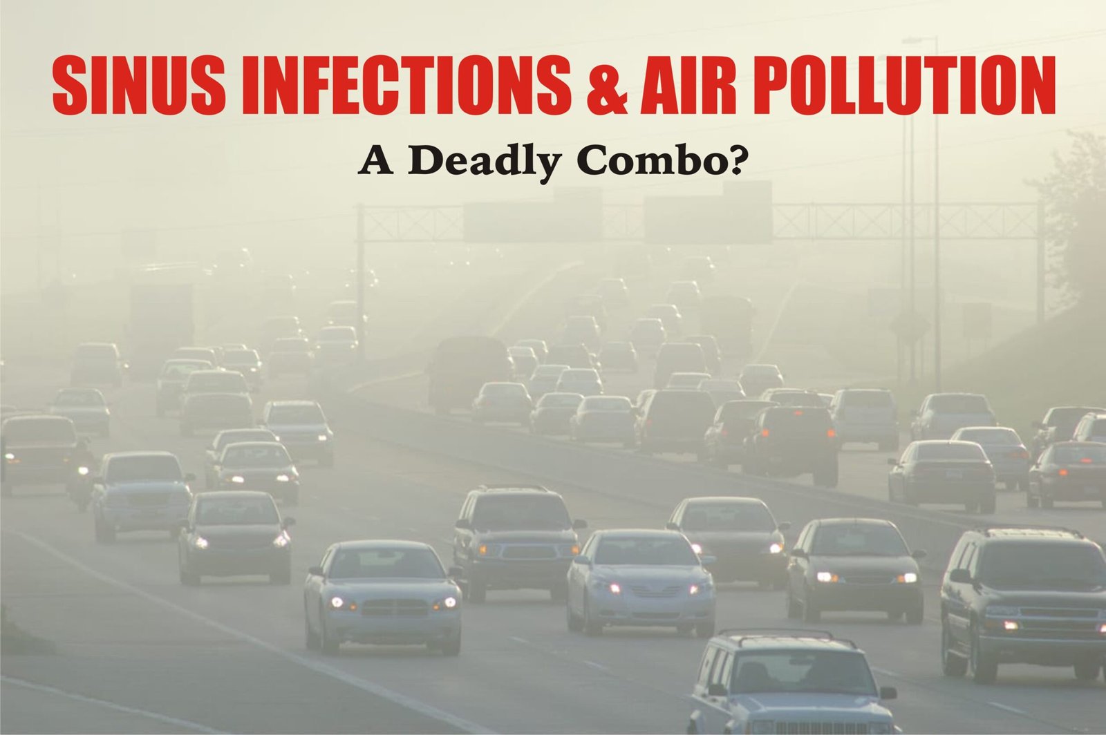 fact & myths about sinus infections & air pollution