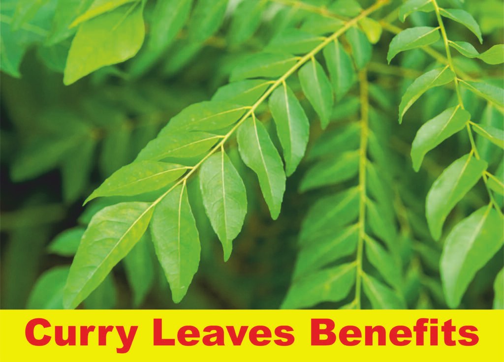 curry leaves benefits