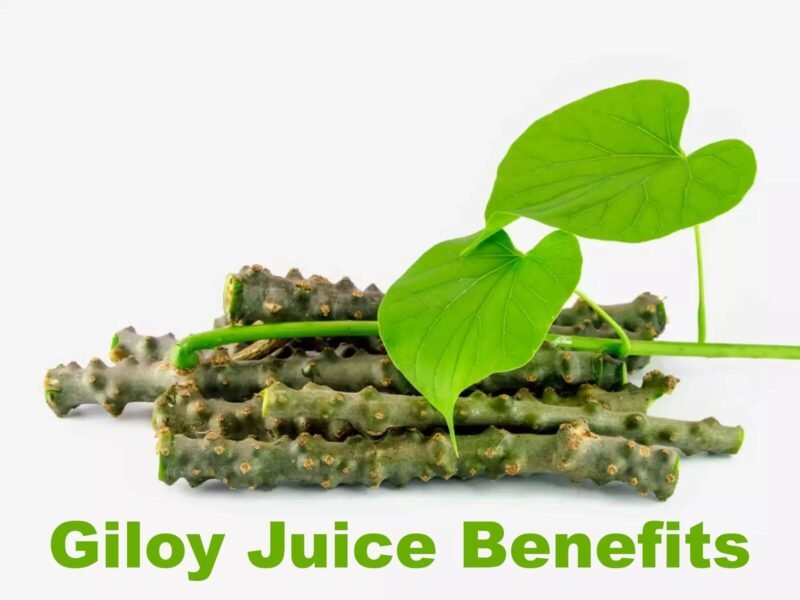 what are the benefits of drinking giloy juice img